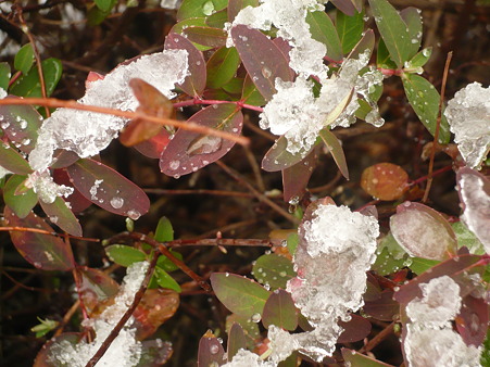 雪が凍って…