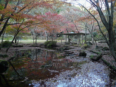 大師広場の池