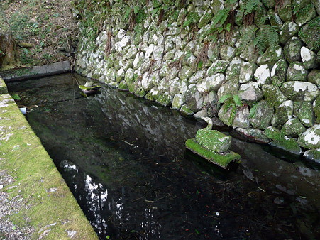 芭蕉天神宮の池