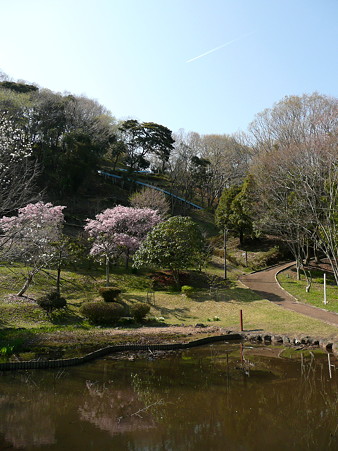 白尾山公園の池からローラーすべり台