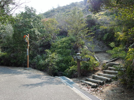 大久野島展望台へ続く道