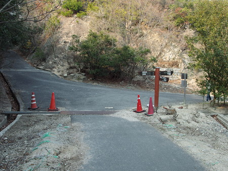 大久野島外周路への合流地点