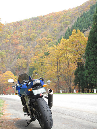 紅葉の山を背景に