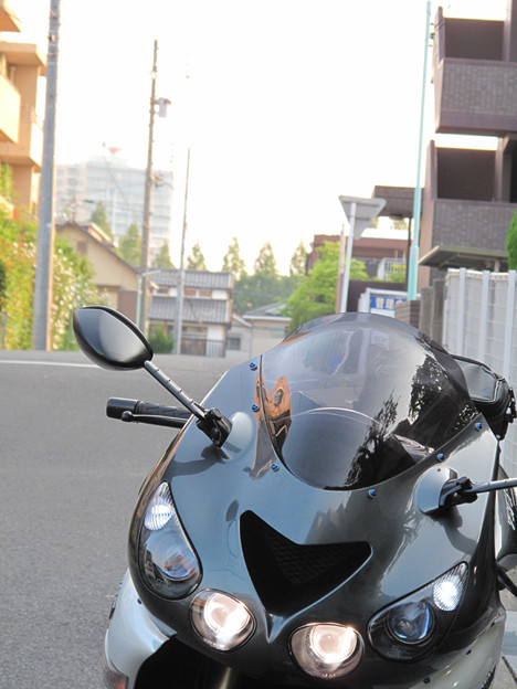 IMG_9520 涼しいうちに 写真: IMG_9520 涼しいうちに