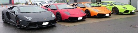 DSC_0590-01
