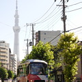 Photos: 東京スカイツリーを背景に…