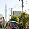 東京スカイツリーを背景に…