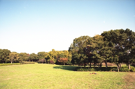 201111-05-001PZ