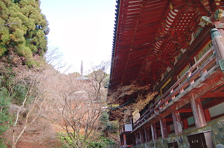 2012年01月08日_DSC_0051
