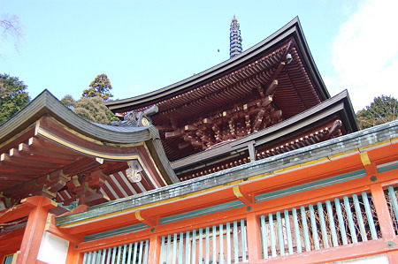 2012年01月08日_DSC_0055
