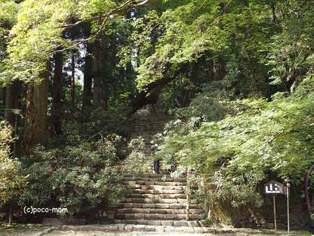 室生寺 P9210050