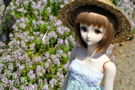 IMG_7590~2