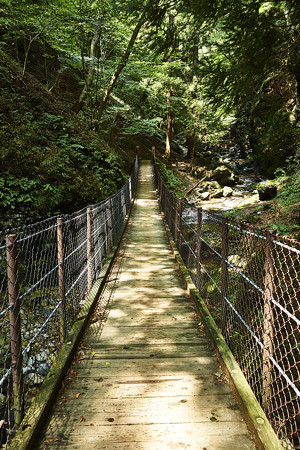 吊り橋