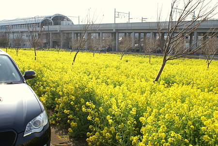 DSC08869a