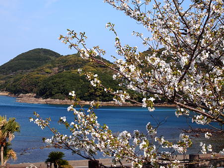 2012 春