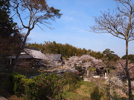 安国寺