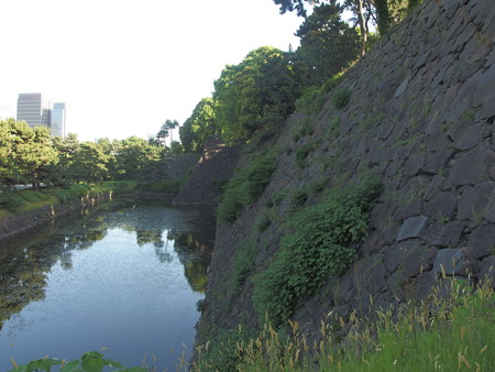 P6042374