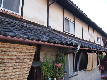 P6069410