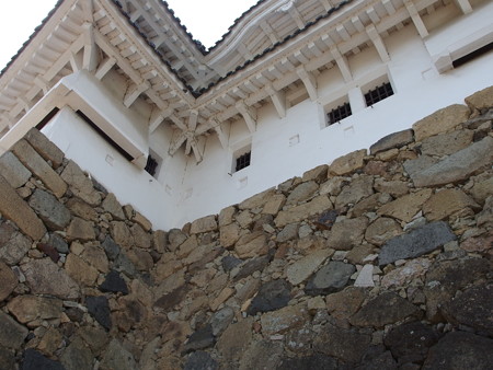 P6072643