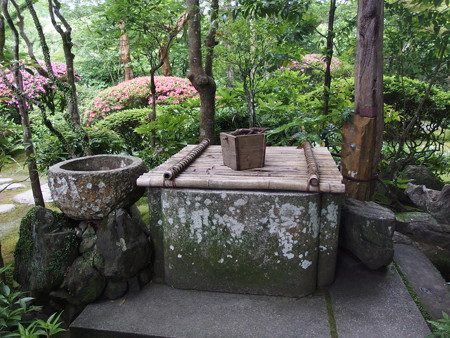 P6072800