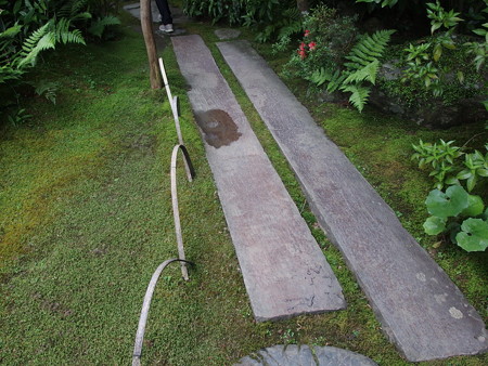 P6072802