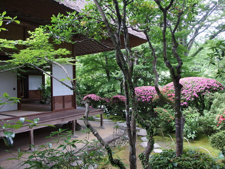 P6072845