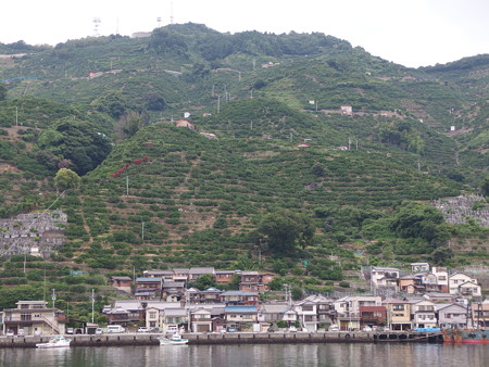 P6072885