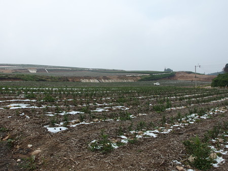P6153013