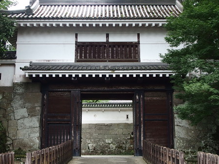 P6213052