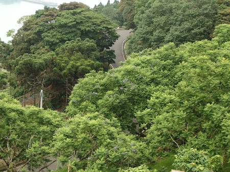 P6213154