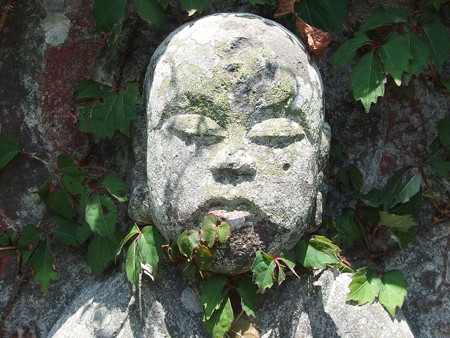P6293241