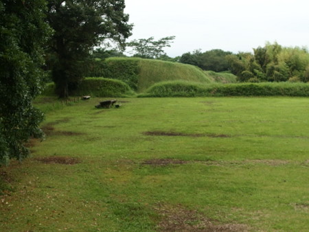 P7073371