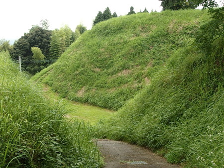P7073378