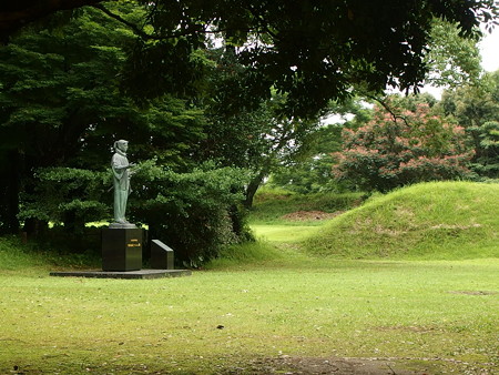 P7073382
