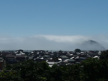P7143412