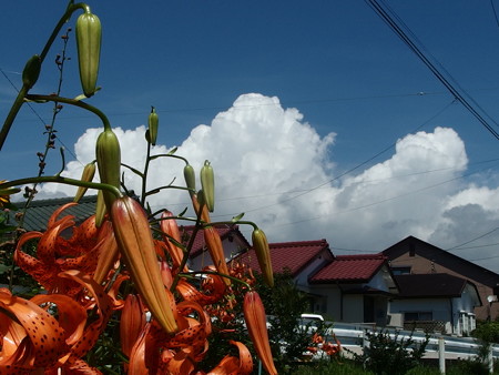 P7143415