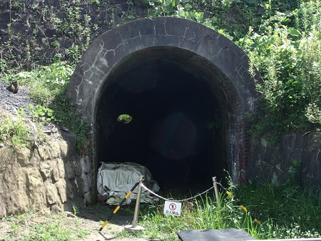 P7193469