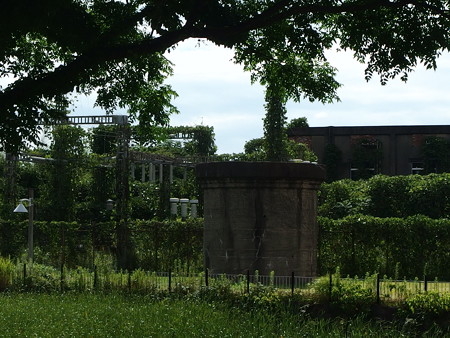 P7193485