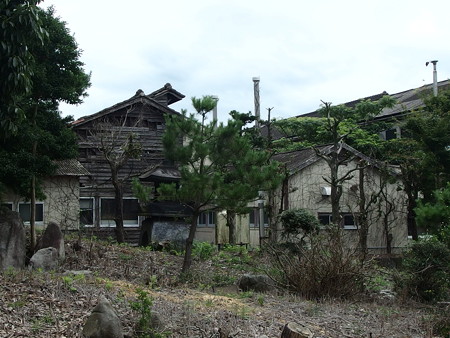 P7203623