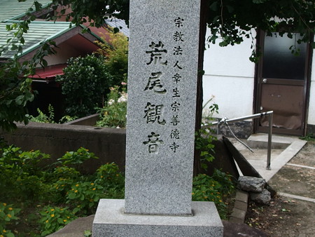 P7203681