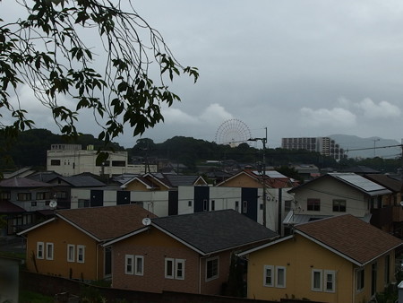 P7203682