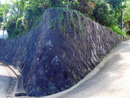 P7193448e