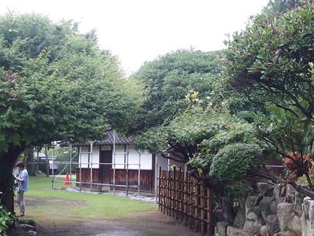 P7193501