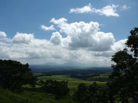 P8224108