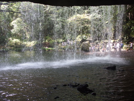 P8224127