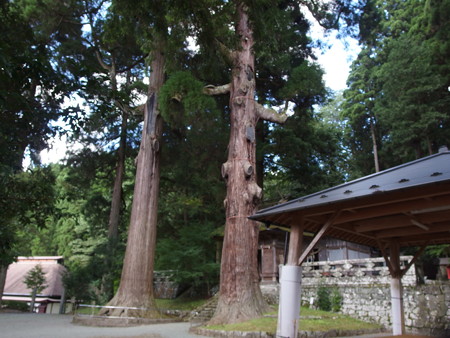 P8224152