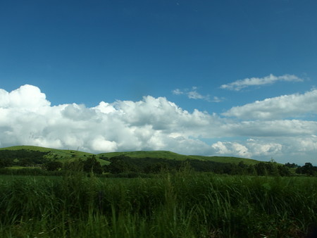 P8224177