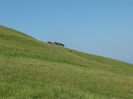 P8234396