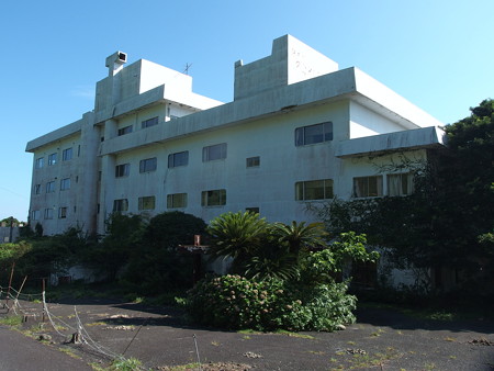 P8234384