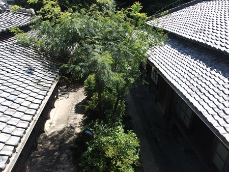 P8234310